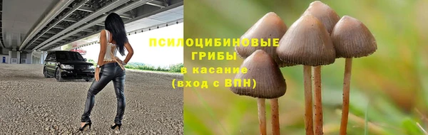 крисы Вяземский