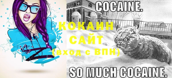 крисы Вяземский