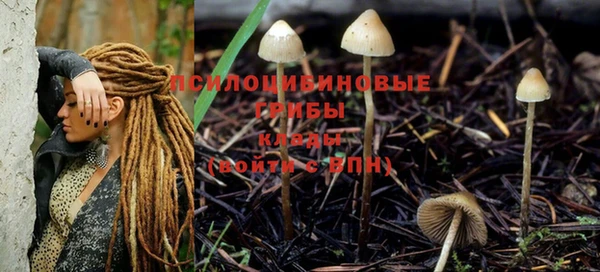крисы Вяземский